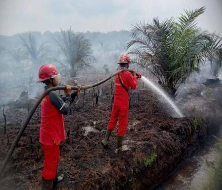 Ilustrasi hotspot di Riau turun drastis (foto/int)